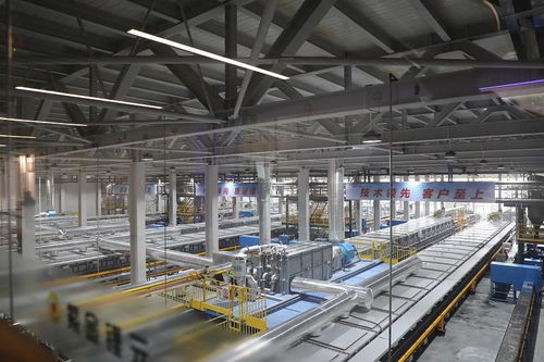 探秘新能源产业“超级工厂” 走进福建紫金锂元，解码材料科技与创新动能