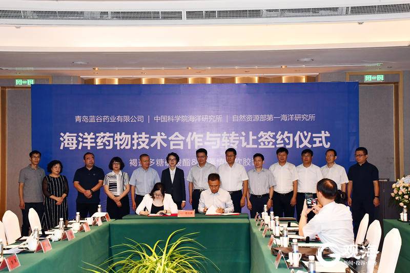 海藻中开发升级出治疗肾病药物？青岛“蓝色药库”又添一领先全国新成果技术推广